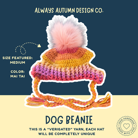 Multicolor Dog Beanie | Handmade Crochet Pet Accessory | Made to Order