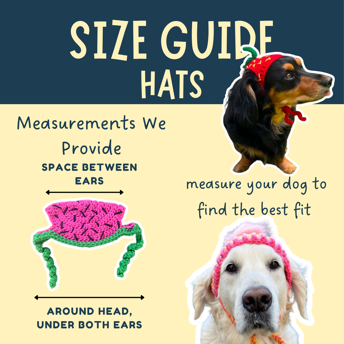 Kiwi Dog Hat | Handmade Crochet Fruit Pet Costume | Made to Order
