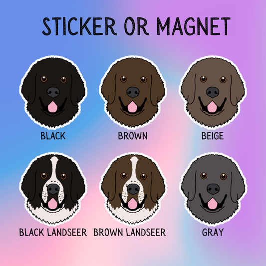 Newfoundland Face Dog Sticker Sticker or Magnet