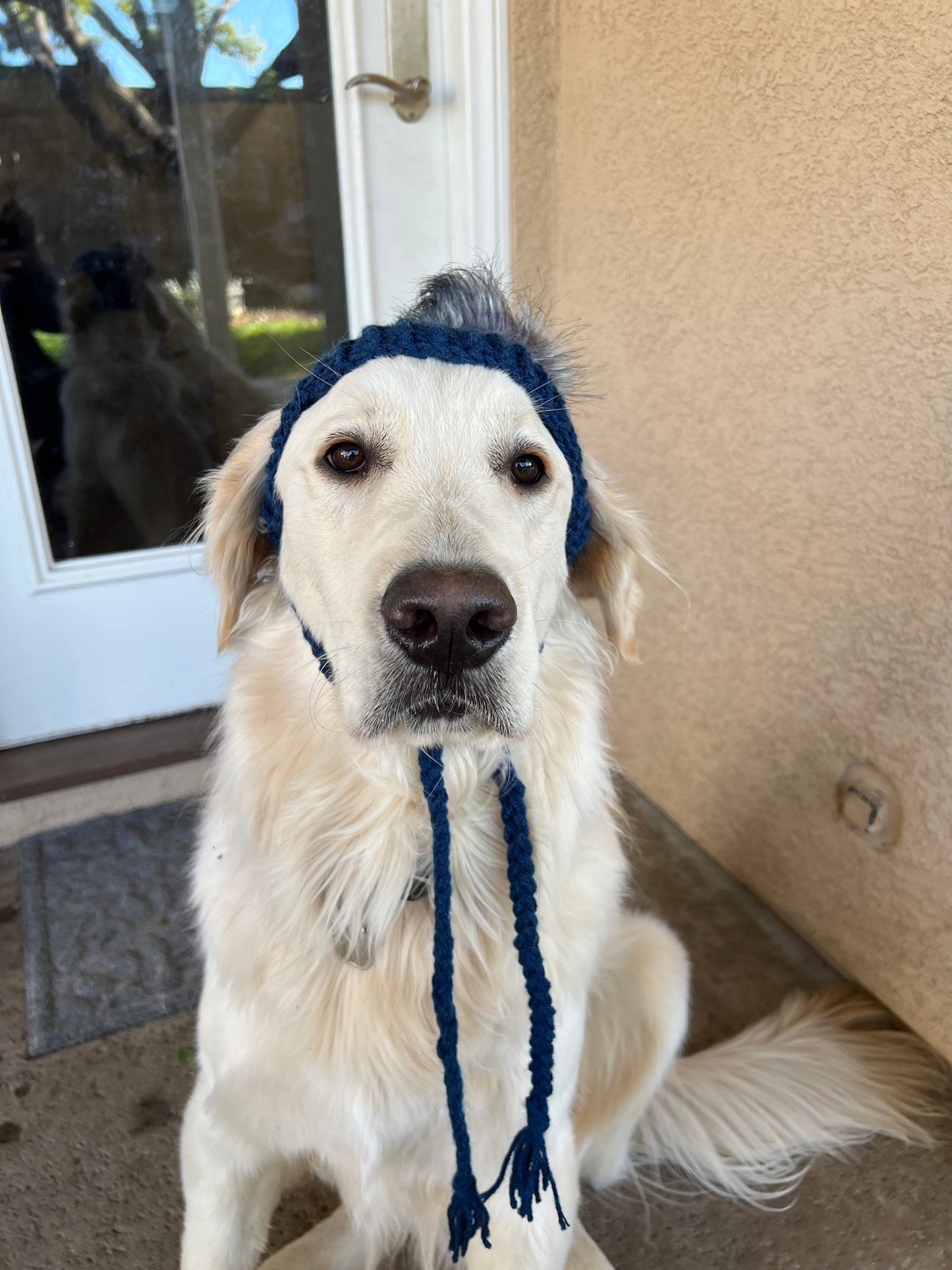 Large Breed Dog Beanie