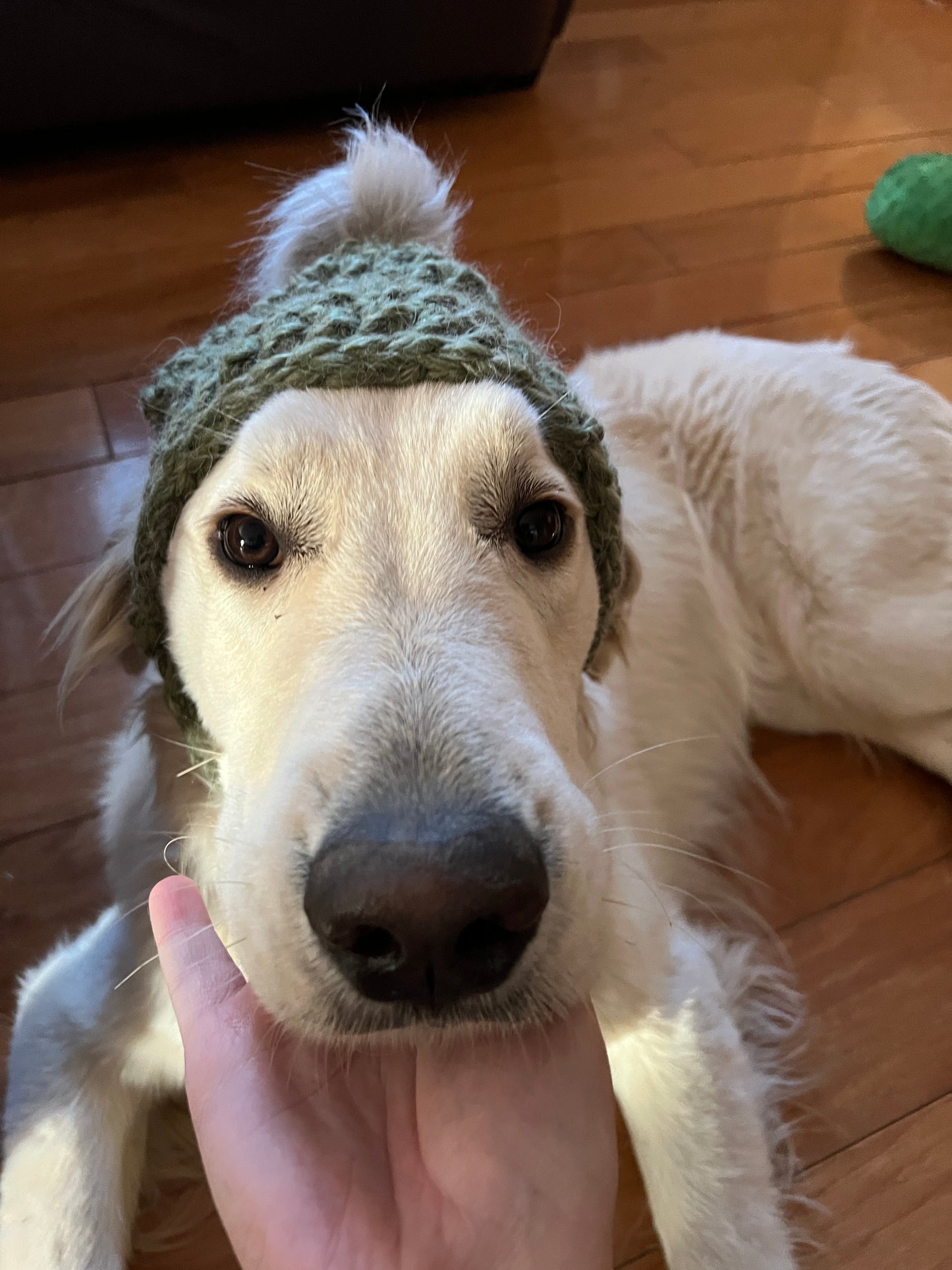 Matching Dog and Owner Set, Large Breed Dog Beanie